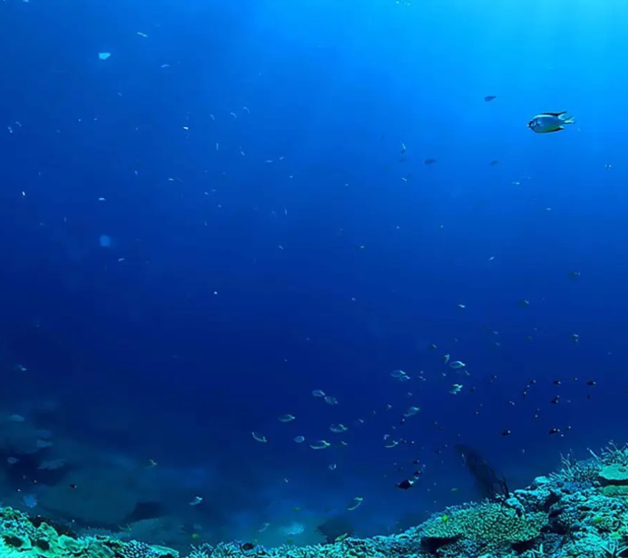 Imagen representativa de la oceanografía, mostrando el estudio de los océanos y sus corrientes.